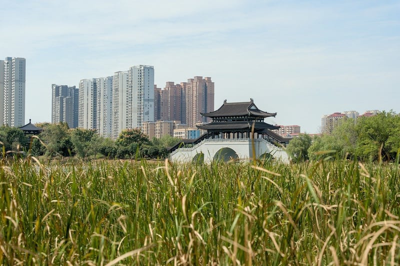 Urban Parks